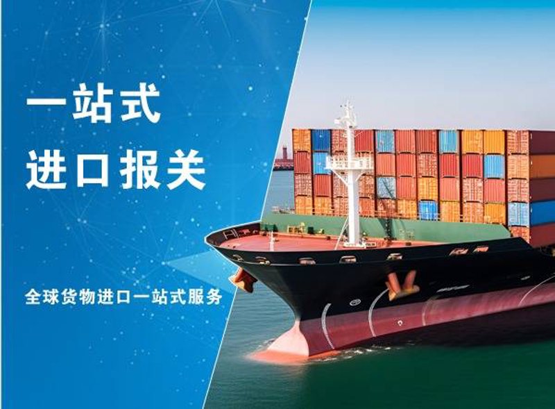 进出口代理行业的市场动态洞察