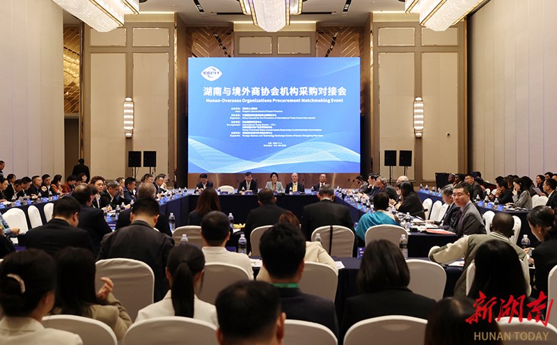 国际货运代理行业的风向标——2023年动态洞察